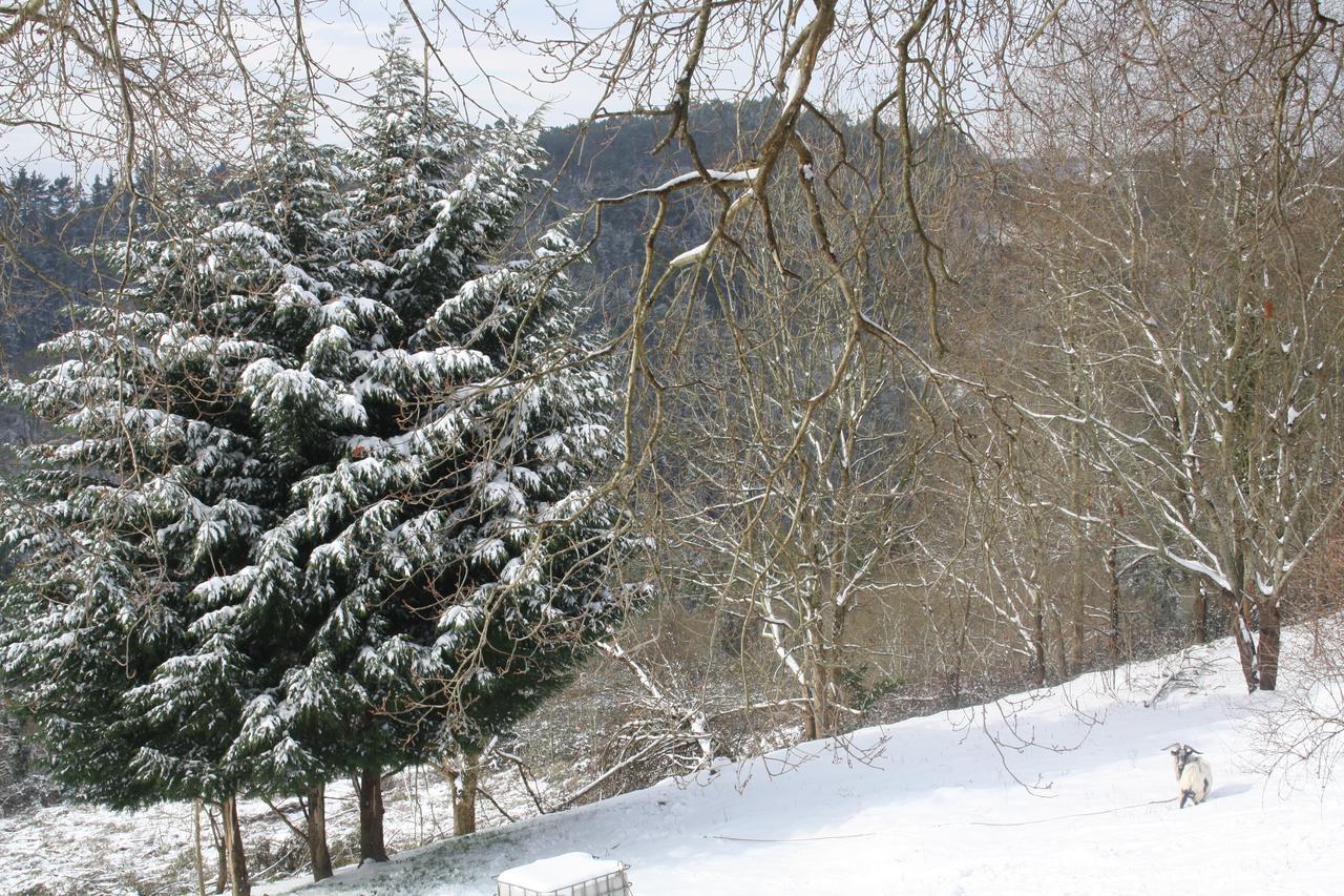 Casa Rural Ecologica Arrizurieta Бермео Екстериор снимка